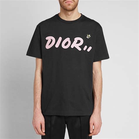 dior kaws tシャツ